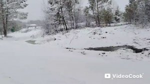 СЕЛЬСКИЕ БУДНИ