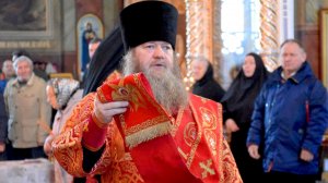 «Если не вложу руки моей в рёбра, не поверю вашим словам!» (Задонский монастырь 2026г.)