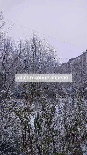 #снег