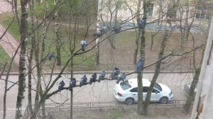 пробую магазинную еду челлендж