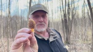 Грибной МИКСТ после снегопада ! Грибы 2026 !