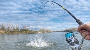 ВОТ ЭТО ПОКЛЕВКИ! РАДИ ЭТОГО СТОИЛО ЕХАТЬ НА РЫБАЛКУ! Рыбалка с ночевкой. Рыбалка в Астрахани 2026.