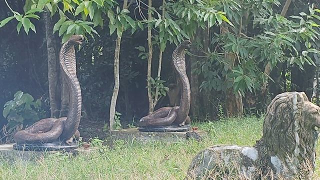 18 Храм и ловля кальмаров