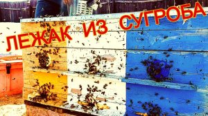 Ревизия 3-х местного лежака после зимовки под снегом