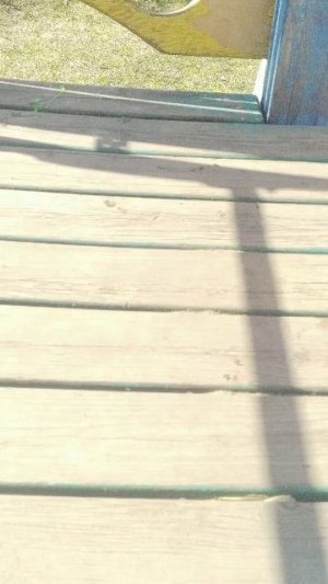 стрим 🥺 помогите нам убьют