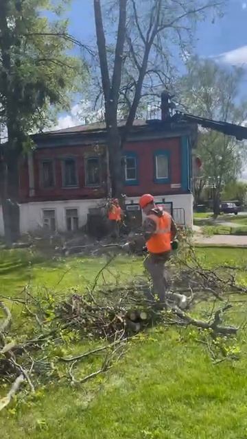 Работа по удалению деревьев
