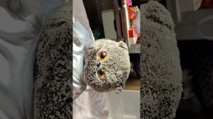 БАСИК ИДЁТ НА ХУДОЖКУ? /★БАСИКИ ЛУЧШЕЕ★