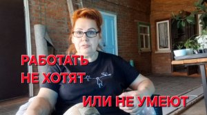 1198 Работать не хотят или не умеют? Ну вот и началось! А вы говорите.