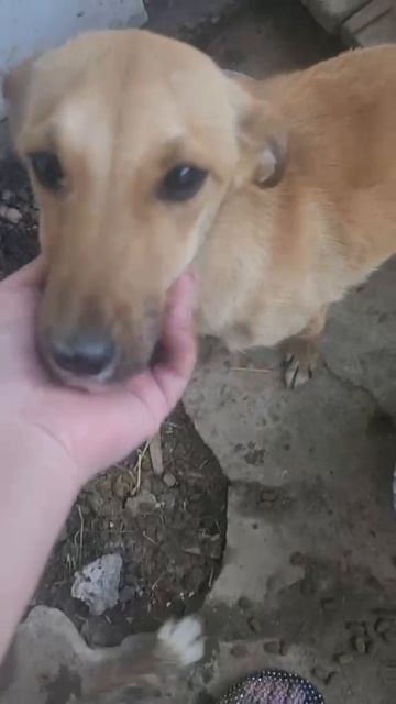 Помогаю информационно!
УЗБЕКИСТАН!!! Усыпалка!!
Пост от 25.04.26

Москва, Питер и все города