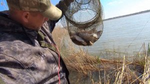 ДОНКА, ФИДЕР, ПОПЛАВОК. ЭКСПЕРЕМЕНТИРУЮ РАЗНЫЕ СНАСТИ НА ОЗЕРЕ.