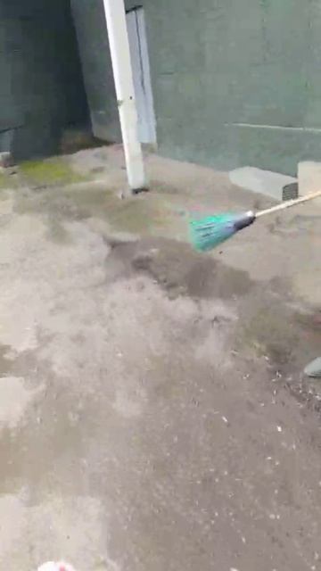 20260411122733188.mp4