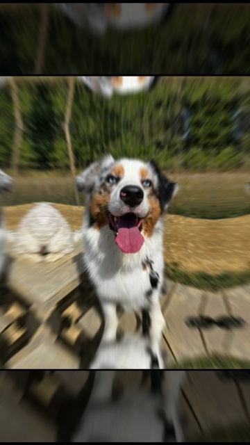 🪐НУ ТАК И Есть 😁