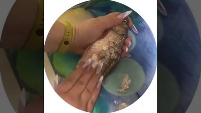 Видео от Департамент Вирусного Контента | ДВК