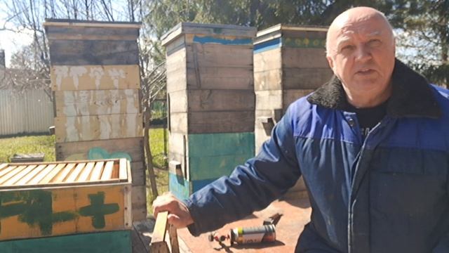 Пчёлы зиму пережили, как бы не умереть весной. Очистка рамок перед наващиванием