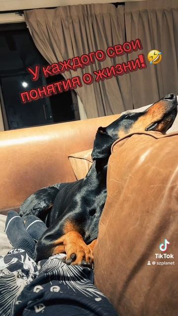 Этот мир мне абсолютно понятен! У каждого свои понятия о жизни!