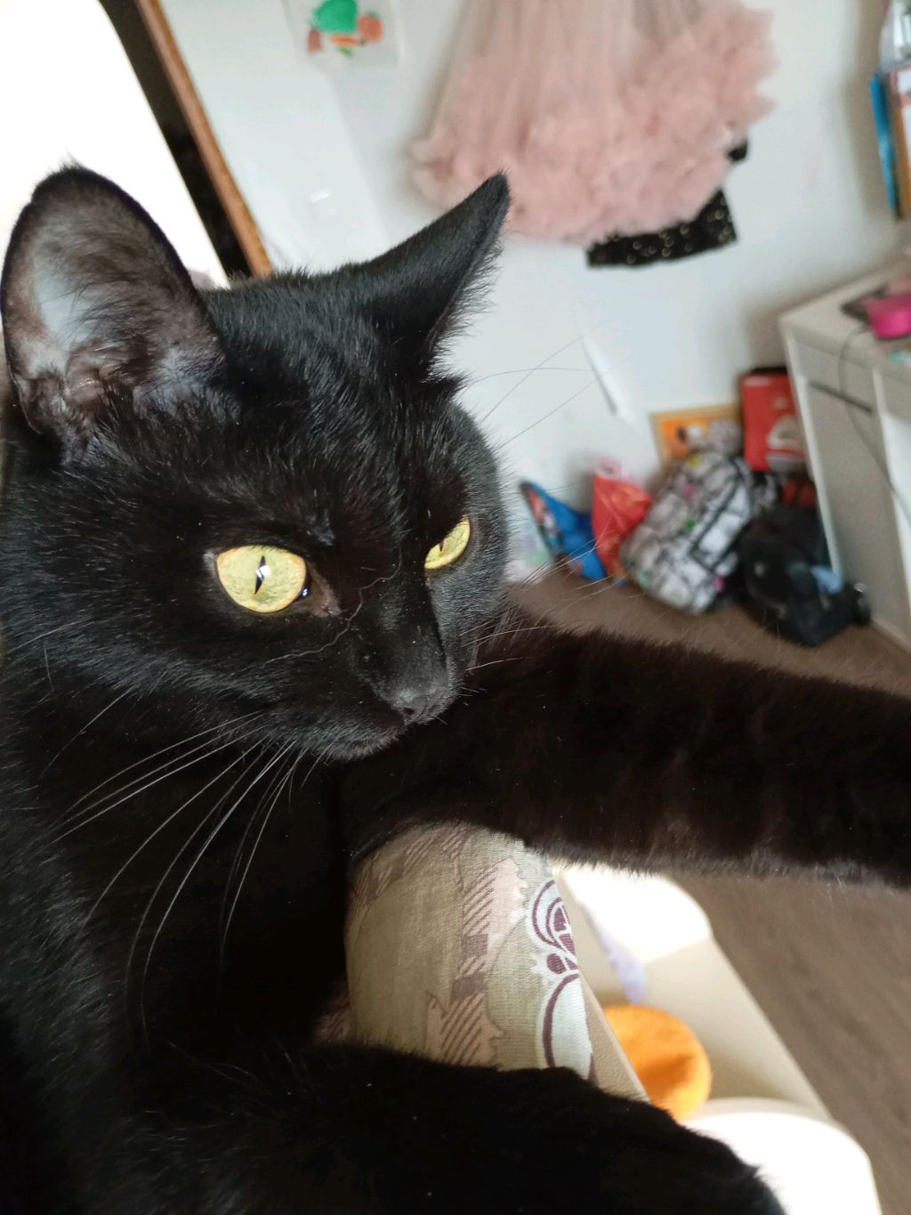 это стрим с Мику стар))))