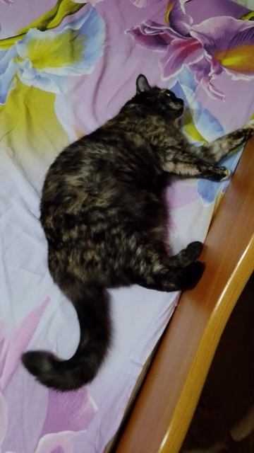 Весело 🤣🤣🤣🥰