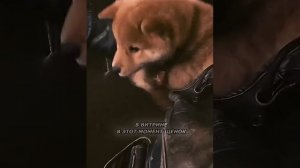 Хороший фильм на вечер, до слёз.