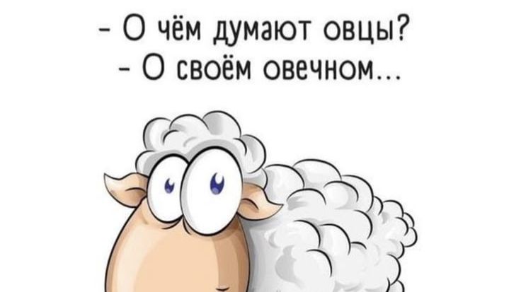Баран на 59-16 думает , что он самый умный)))