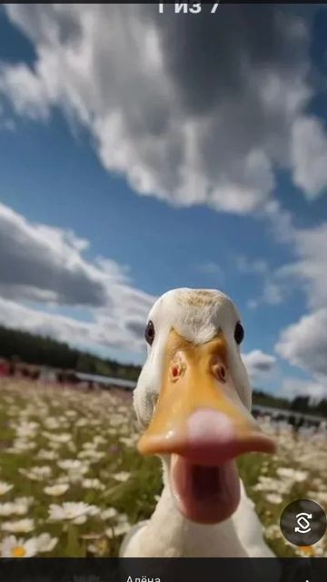 Пхахахахаха🤣🤣🤣🤣🤣🤣🤣