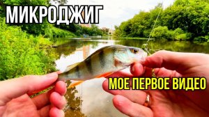 Микроджиг на Пахре. Zetrix Companero и ловля окуня в городе
