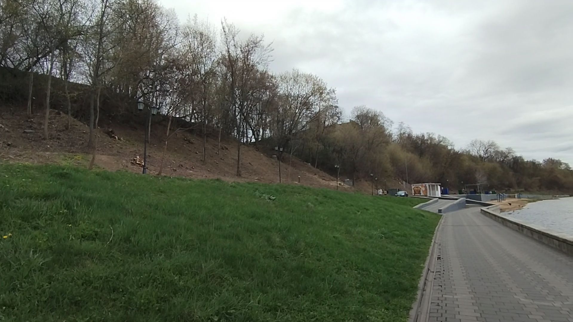 Видео про деревья на набережной, река Ока.