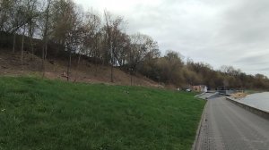 Видео про деревья на набережной, река Ока.