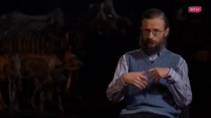 Эволюция цветного зрения у человека. Дробышевский