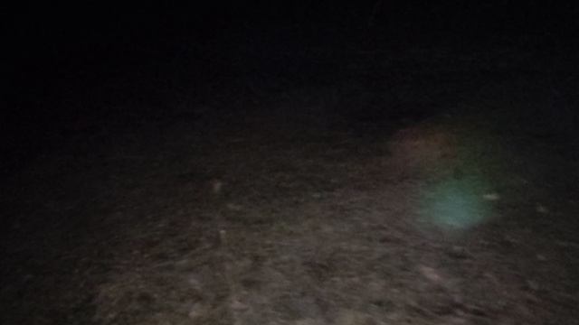 Ночной сталкер: о бизнесе на детях погибших СВОшников и история с продажей российских детей в США 🤔