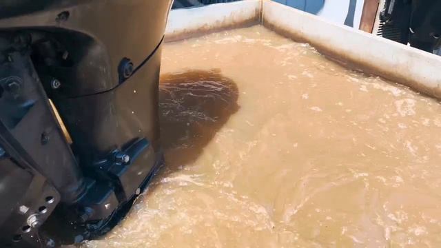 Арт 2101 Запуск лодочного мотора Suzuki F50 2001 год.