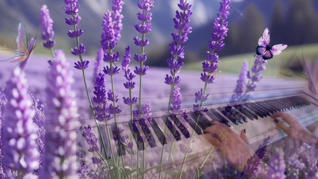 Лаванда - София Ротару, композитор В. Матецкий, на пианино