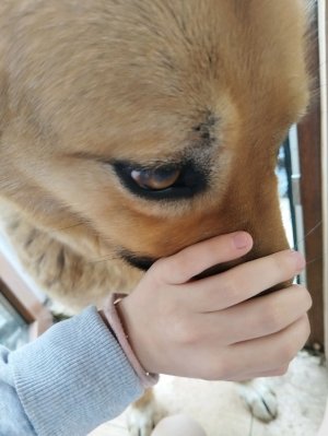 Утро с сестрой