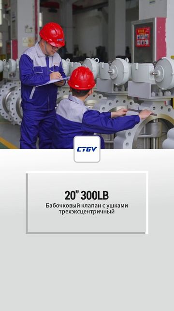 20''300LB Поворотный дисковый клапан с ушками и тройной эксцентриситетом-CTGV-1