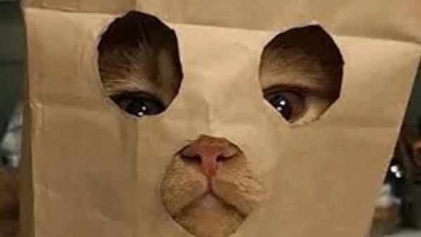 не знаю что