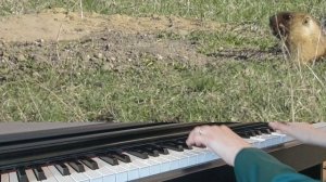 Людвиг Ван Бетховен -Сурок