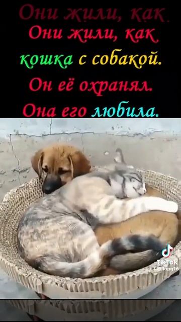 Хорошего настроения!😀