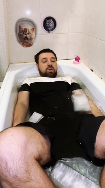 106 день дисциплины