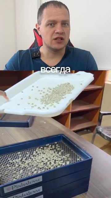 Как в Кении отсеивают кофе по размеру?