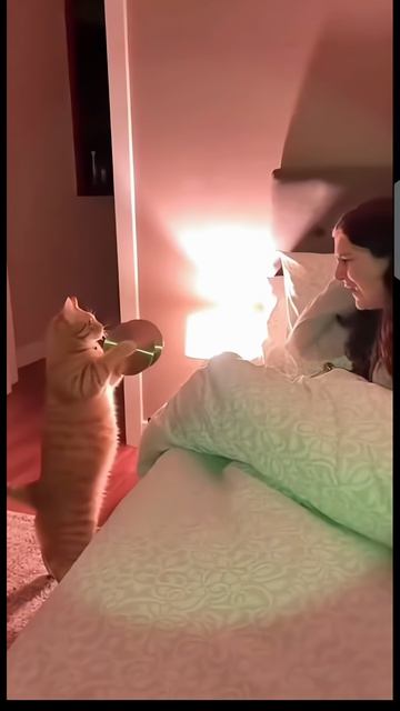 Я выспался!!