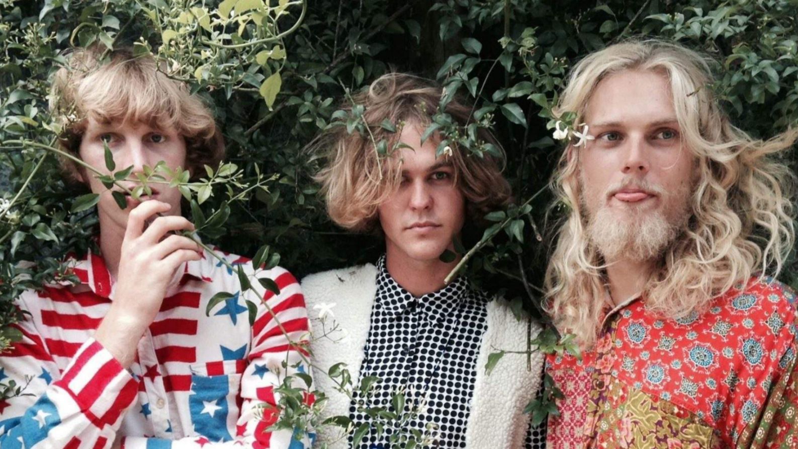 Babe Rainbow - What is ashwagandha