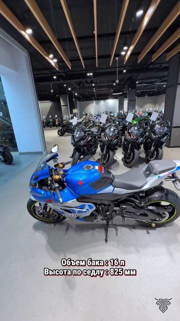 Suzuki GSX-R 1000R (2021) VIN: DM11G-101822