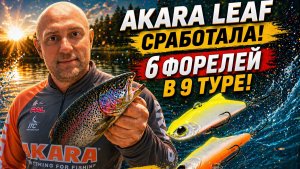 Моя самая лучшая приманка! 6 форелей в 9 туре на AKARA Leaf