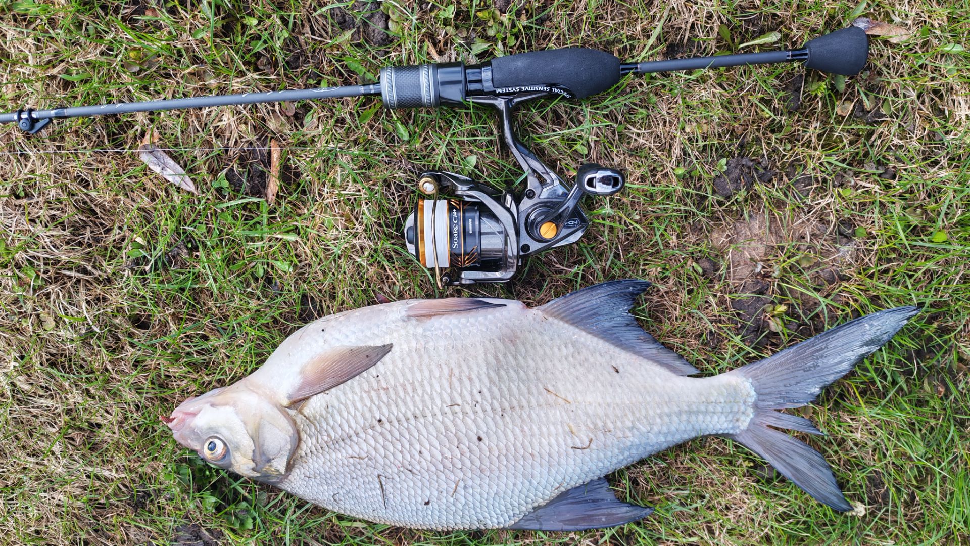 Silver Stream Neo Line NL602EXUL. Продолжение тестирования, ЗЛОТОБОКИЙ ТРОФЕЙ