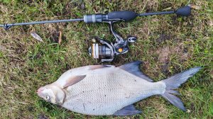 Silver Stream Neo Line NL602EXUL. Продолжение тестирования, ЗЛОТОБОКИЙ ТРОФЕЙ