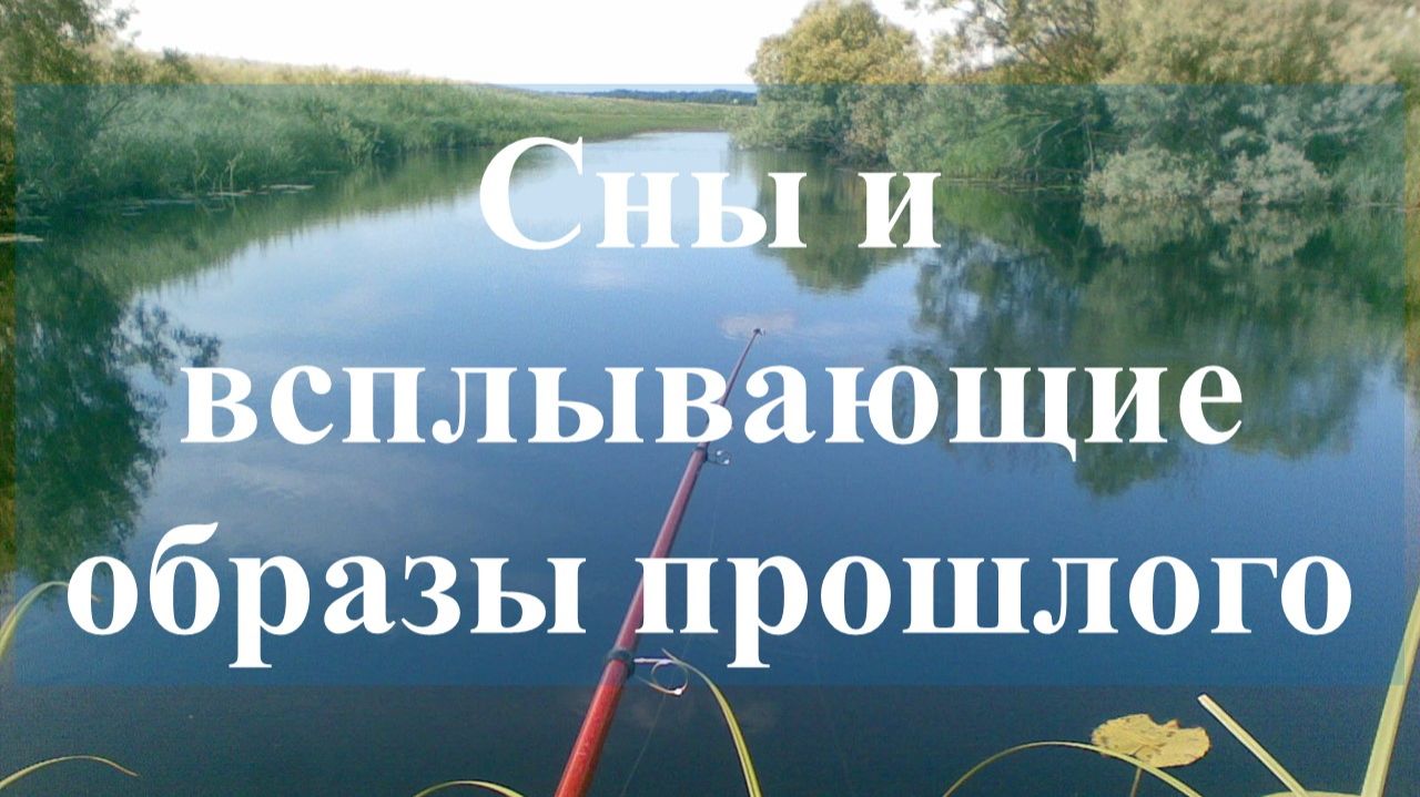 Сны, всплывающие образы прошлого и развитие технологии видения по Учению Г. Грабового.