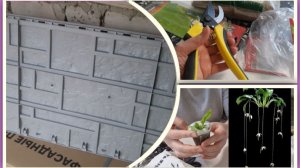 Покупки. Что привезли из Владимира.