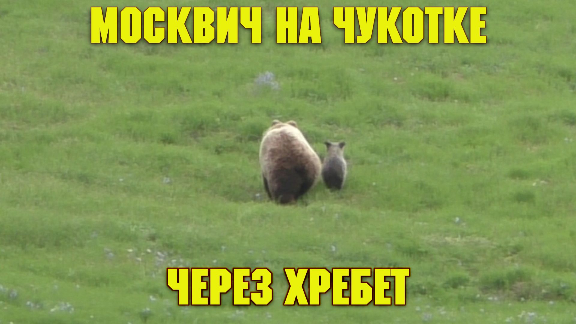 Дни, когда (почти) ничего не происходило