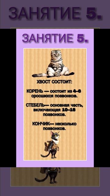 ШКОЛА ЮНЫХ ВЕТЕРИНАРОВ 
Занятие 5