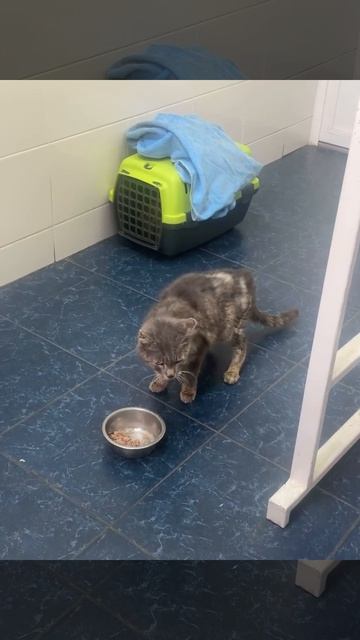 Новости о Тëме. Статус: «Хорошеем» 😀 Новое видео, аппетит есть😇  Нам сообщил врач мальчишки: 