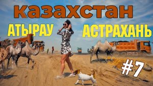 Казахстан #7 Ситуация на границе. Проблемы на ветконтроле. Куда дальше?